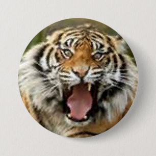Bóton Redondo 7.62cm Tigre de Bengala em cheio botão bonitinho de idade