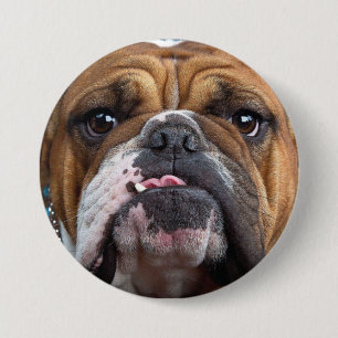 Bóton Redondo 7.62cm Travesseiro decorativo Inglês Bulldog