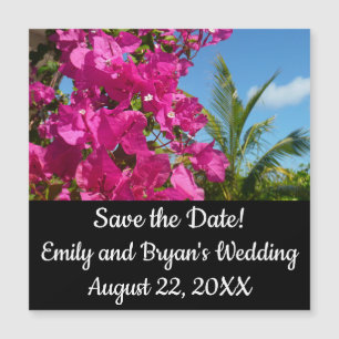 Bougainvillea e Palm Tree Salvar a Data