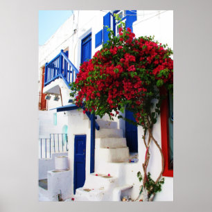 Bougainvillea fora de uma casa, POSTER da piscina