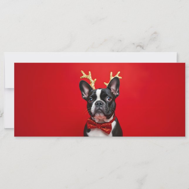 Bouledogue Fun - Carte à QR code surprise (Frente)