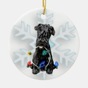 Bouvier des flanders Enfeites de natal