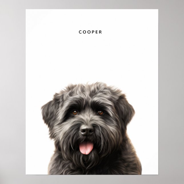 Bouvier Des Flandres Personalizado Impressão (Frente)