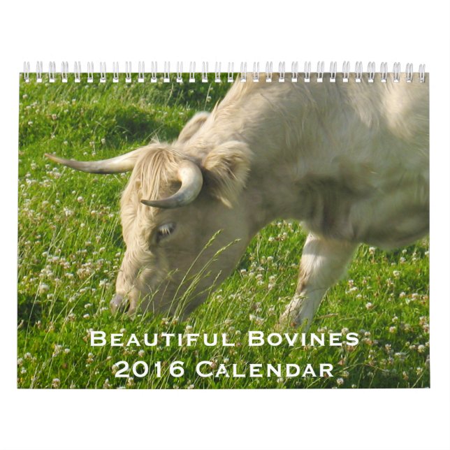Bovídeos bonitos calendário de 12 meses para 2016 (Capa)
