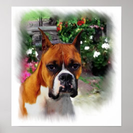 Boxer Dog Art Impressão