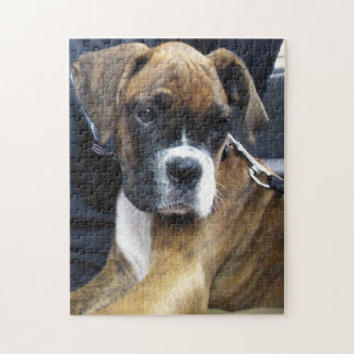 BOXER DOG quebra-cabeça