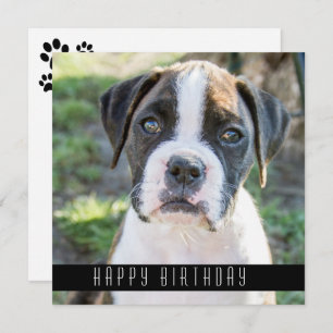 Boxer Happy Birthday quer cartão de aniversário de