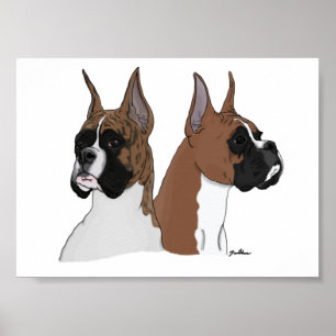 Boxer Head In Digital Art on Poster