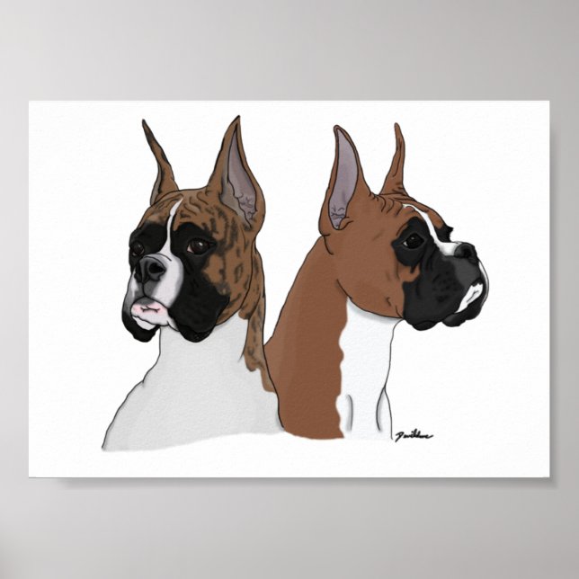 Boxer Head In Digital Art on Poster (Frente)