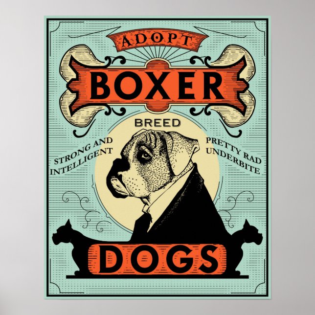 Boxer Poster 1 (Frente)
