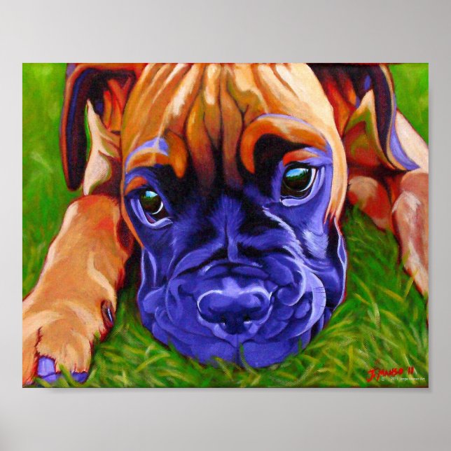 Boxer Puppy Poster (Frente)