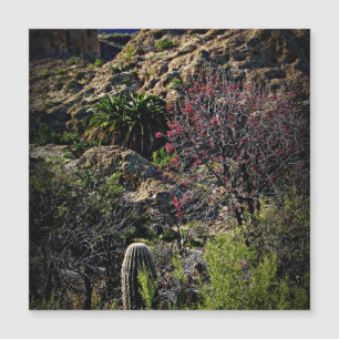 Boyce Thompson Arboretum