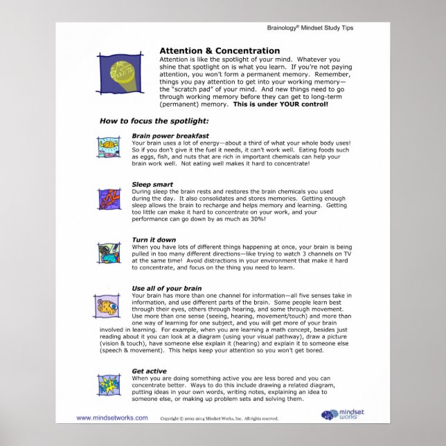 Brainology® Poster 3: Atenção e Concentração (Frente)