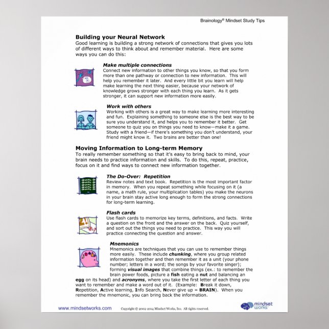 Brainology® Poster 6: Construindo sua rede neural (Frente)