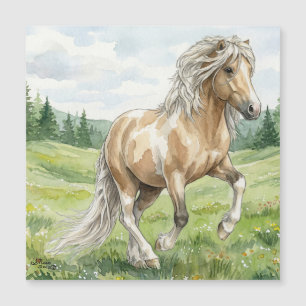 Brana Pinto Palomino Aquarela Islandesa