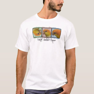 Branco colorido t-shirt inchado do Caique