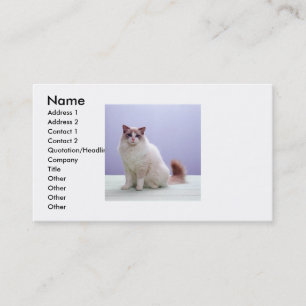 Branco e cartão de visita do gato de Brown