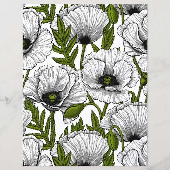 Brancos em branco (Frente)