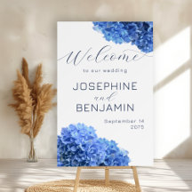 Bravest Blue Wedding Welcome