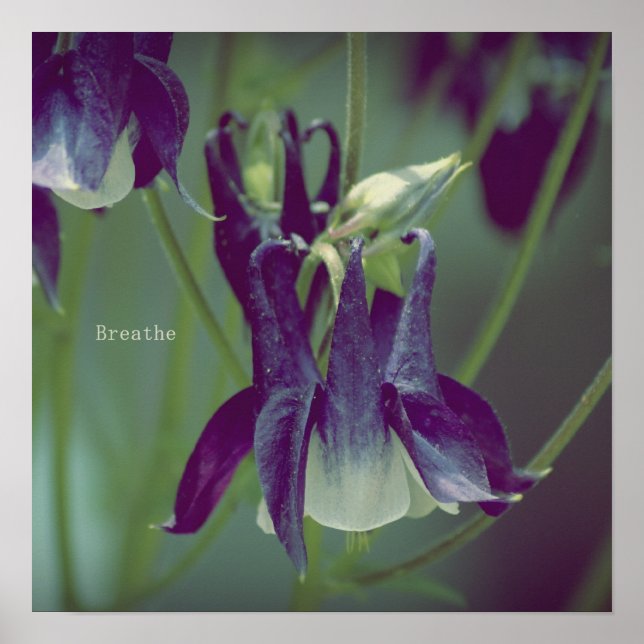 Breathe - Poster quadrado (Frente)