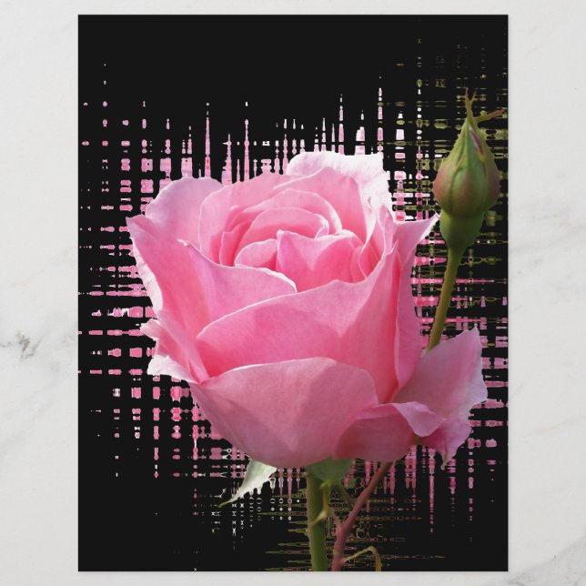 brecha rosa rosa rosa rosa (Frente)