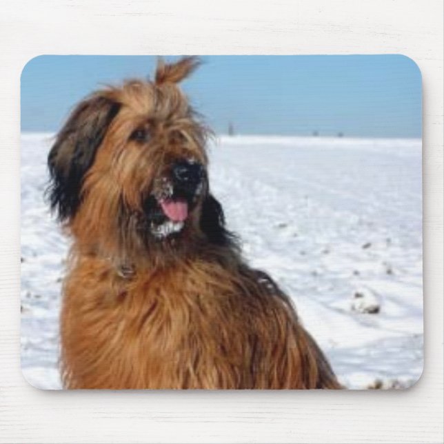Briard Mousepad (Frente)
