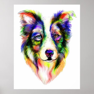 Bright Border Collie Poster