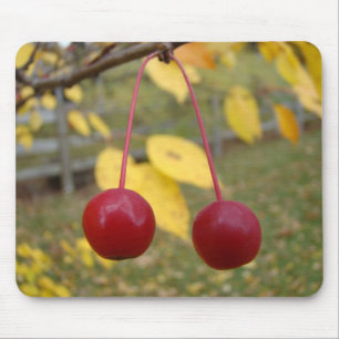 Bright Red Crab Apple Mousepad