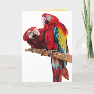 Bright Red Macaw Parrots Watercolor Cartão de Aniv