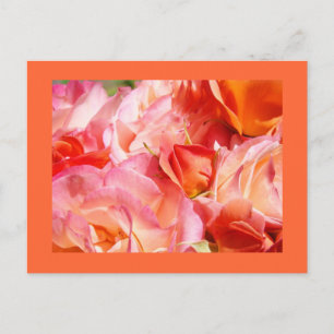 Bright Rose Bouquet cartões postais Rosas Flores F