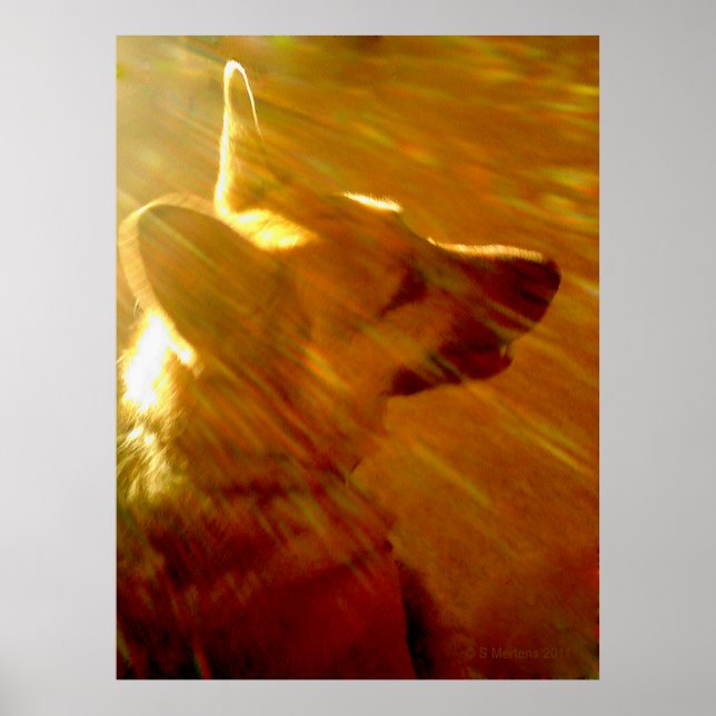 Brilhe comigo German shepherd nº 2 Poster (Frente)