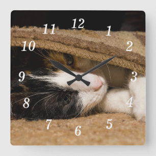 Brincando Sob O Relógio De Parede Do Rug