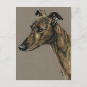 "Brindle Greyhound" Cartão Postal de Arte de Cão