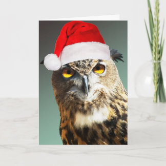 Brinquedos torcidos do cartão do papai noel… não