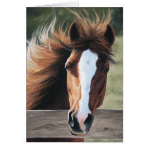 Brisa da manhã - cartão