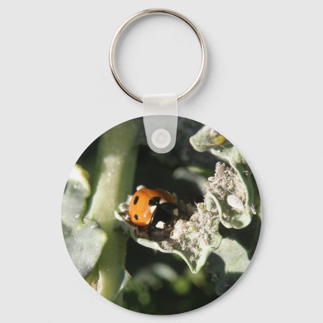British 7 Spot Ladybug Chaveiro (Frente)