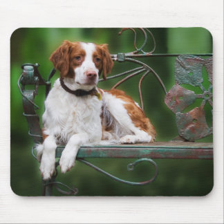 Brittany Mousepad