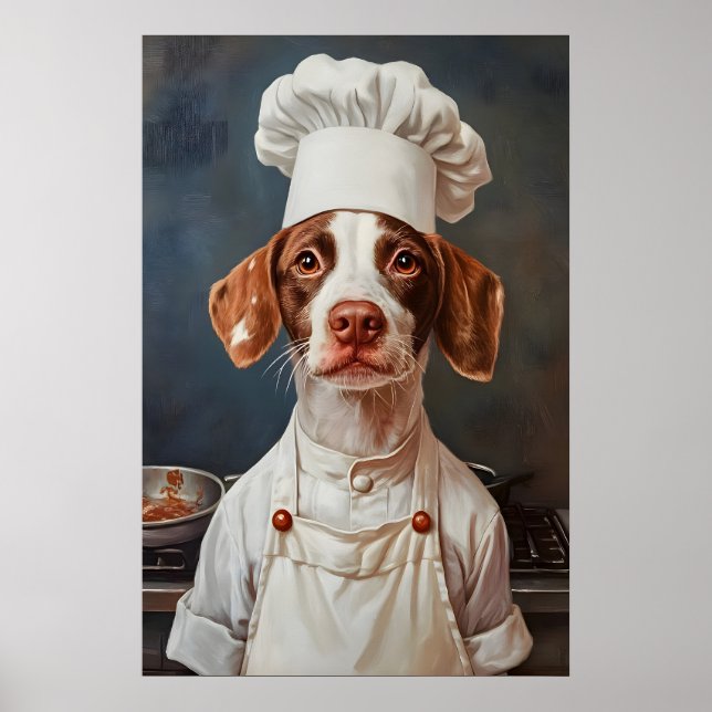 Brittany Spaniel In Chefs Hat Poster, Pet Poster (Frente)