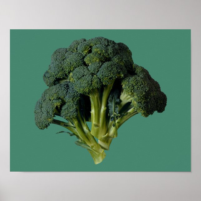 Broccoli 14" x 11", Poster de valor (Matte) (Frente)