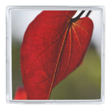 Pin vermelho da lapela da folha