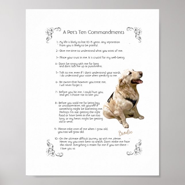 BRODIE - Poster (Frente)