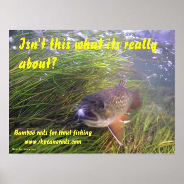 Brookie Poster (Frente)