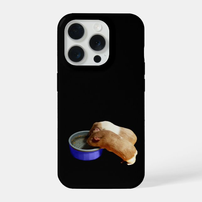 Brown And White Guinea Pigs,  (Verso)