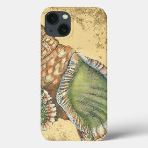 Brown e Seashell verde
