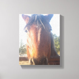 Brown Horsey Love Canvas