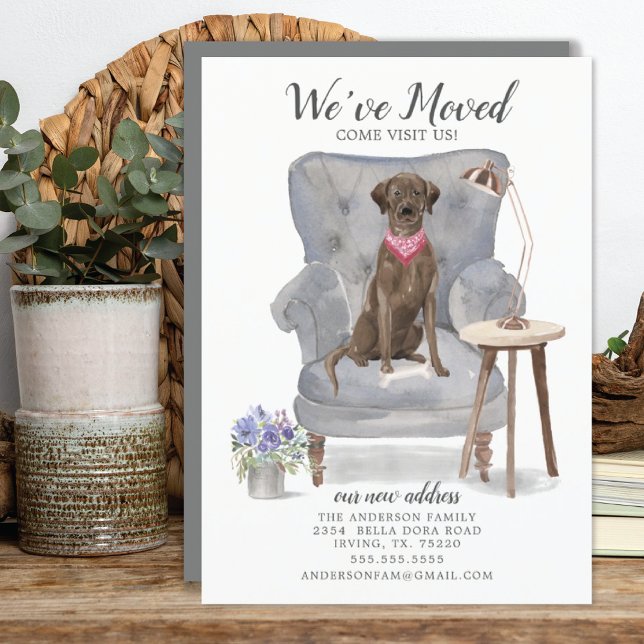 Brown Labrador Retriever Dog | Anúncio de mudança (Criador carregado)