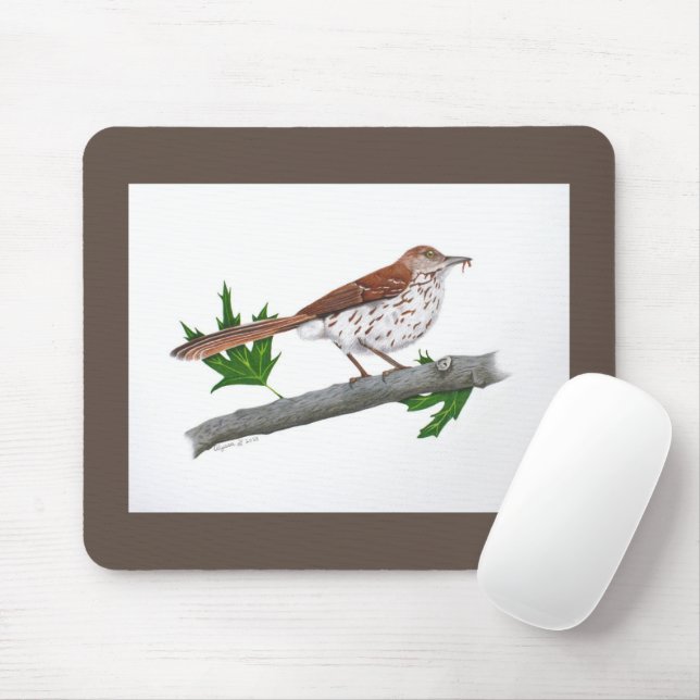 Brown Thrasher Mousepad (Com mouse)