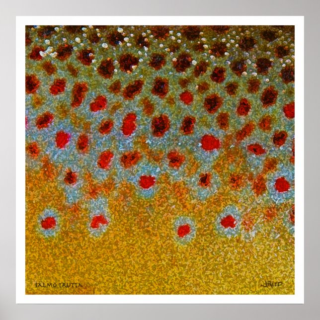 Brown Trout Poster (Frente)