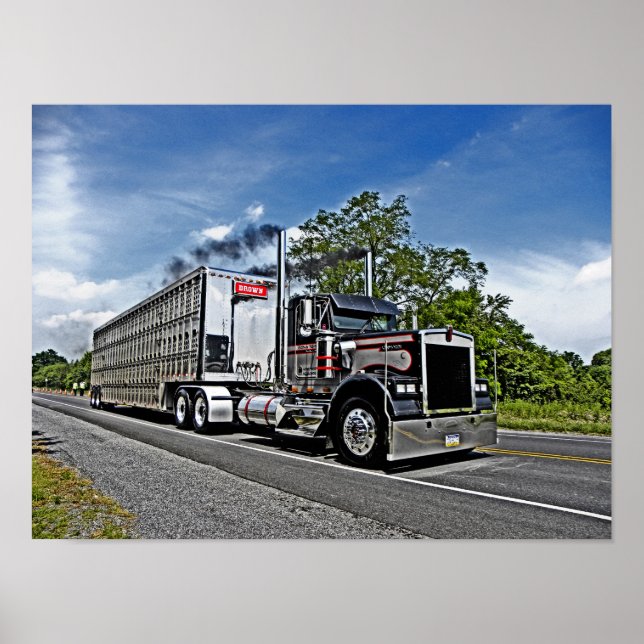 Brown's B Model Poster (Frente)