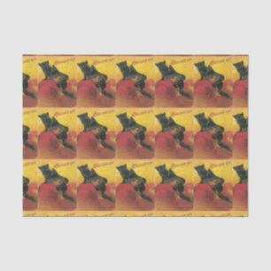 Bruxa Vintage E Papel Tecido Gato Preto